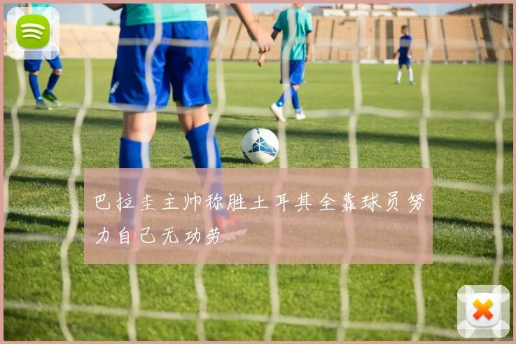 巴拉圭主帅称胜土耳其全靠球员努力自己无功劳